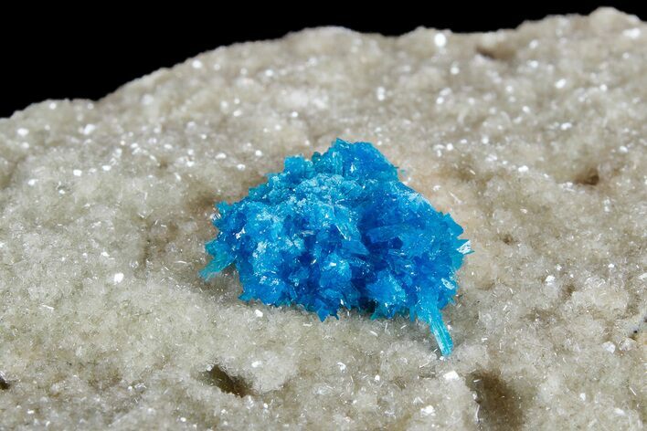 Vibrant Blue Cavansite (Pentagonite?) Cluster on Stilbite - India #176802